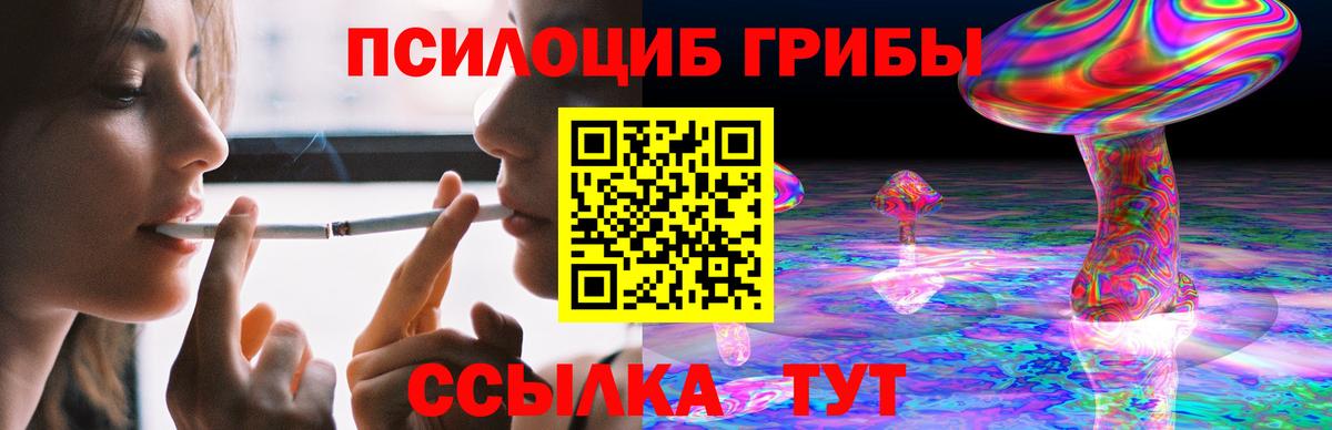 закладки  Вход с VPN  Южноуральск  Псилоцибиновые грибы GOLDEN TEACHER  Псилоцибиновые грибы GOLDEN TEACHER 